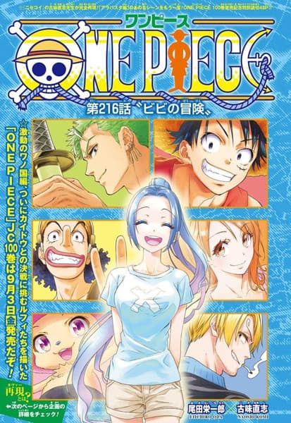 One Piece: Vivi no Bouken