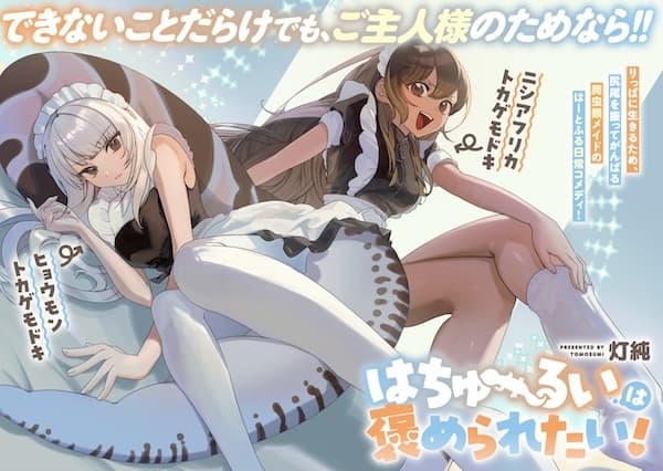 Hachuurui wa Homeraretai!