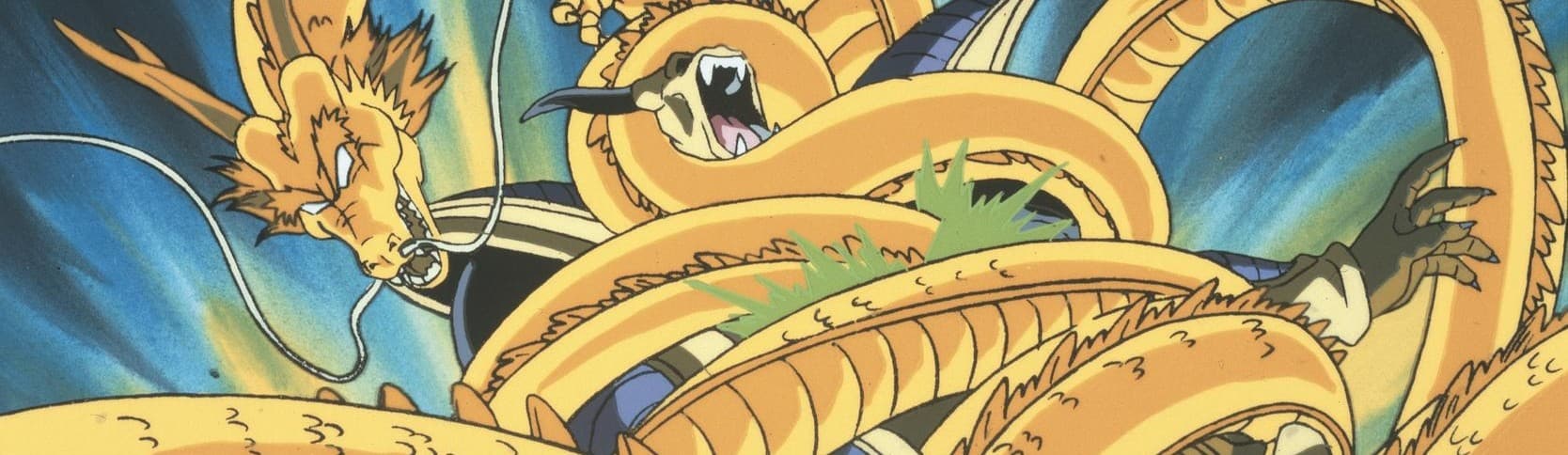 Dragon Ball Z Movie 13: Ryuuken Bakuhatsu!! Gokuu ga Yaraneba Dare ga Yaru