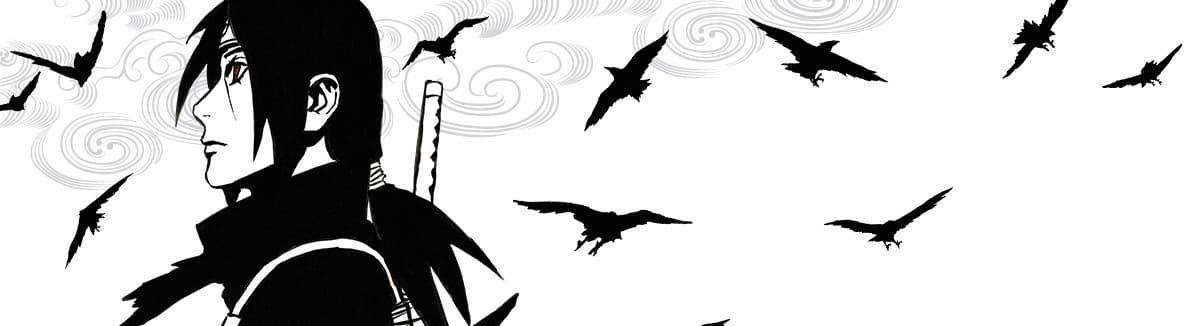 Naruto Shinden Series