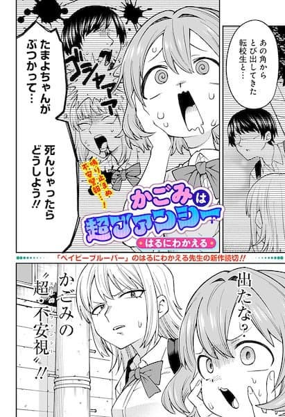 Kagomi wa Chou Fancy