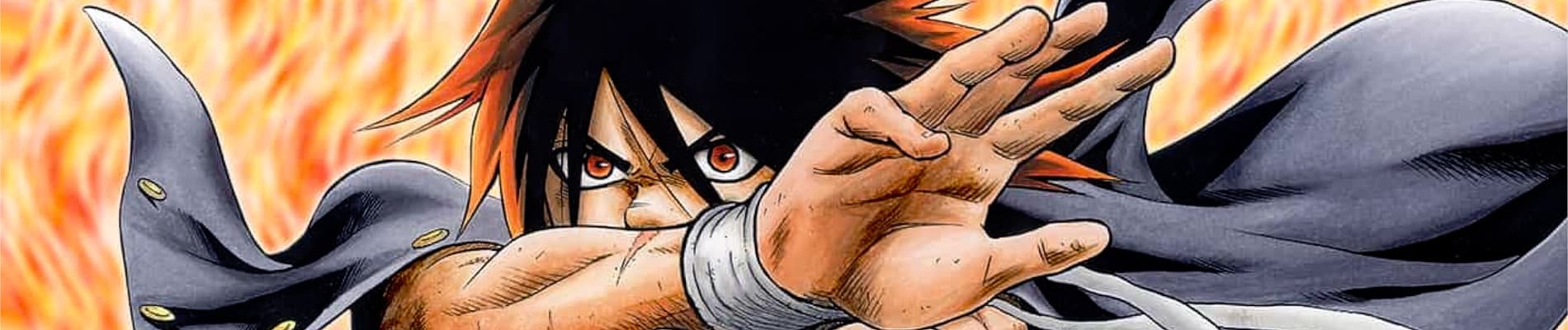Hinomaruzumou